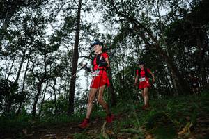 BIB: 
                            <button type="button" onclick="openModal(22554411)" class="btn btn-primary btn-sm float-right btn-popup" data-toggle="modal" data-target=".modal-high-quality">
                        <i class="fas fa-shopping-cart"></i> Add to Cart
                    </button>
                                            <button type="button" onclick="isThisMe(22554411, true)" class="btn btn-success btn-sm float-right btn-popup btn-isme hidden" data-toggle="tooltip" data-placement="bottom" title="นี่คือรูปของคุณใช่ไหม คลิกที่นี่เพื่อเอาเข้าอัลบั้ม">
                        <i class="fas fa-plus"></i> Add to album
                    </button>
                    <button type="button" onclick="isThisMe(22554411, false)" class="btn btn-warning btn-sm float-right btn-popup btn-isnotme hidden">
                        <i class="fas fa-ban"></i> Remove from album
                    </button>